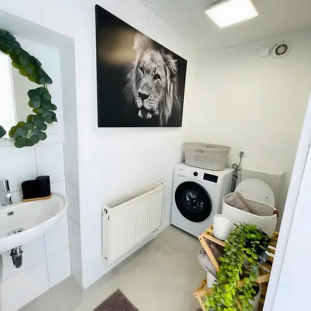 Apartment D D Haus *